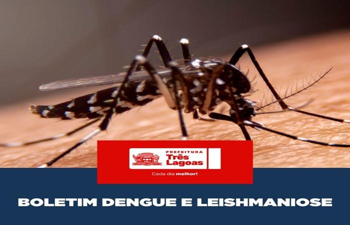 BOLETIM DENGUE E LEISHMANIOSE