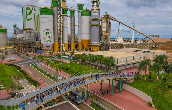Eldorado Brasil Celulose fortalece cultura de cuidado com ampliação do Espaço Saúde e Bem-Estar