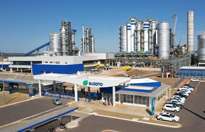 Suzano abre vagas de emprego para unidades de Três Lagoas e Ribas do Rio Pardo