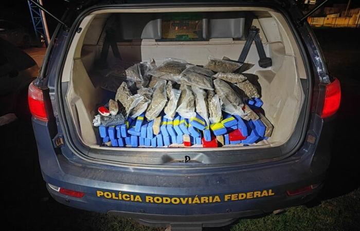 Ação da PRF termina com mais de 100 kg de drogas apreendidos em Três Lagoas