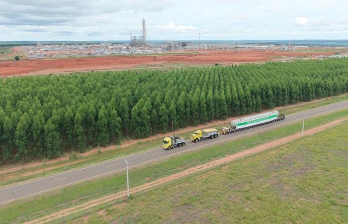 Arauco faz seletiva com 100 vagas para programa de formação de motoristas em Inocência