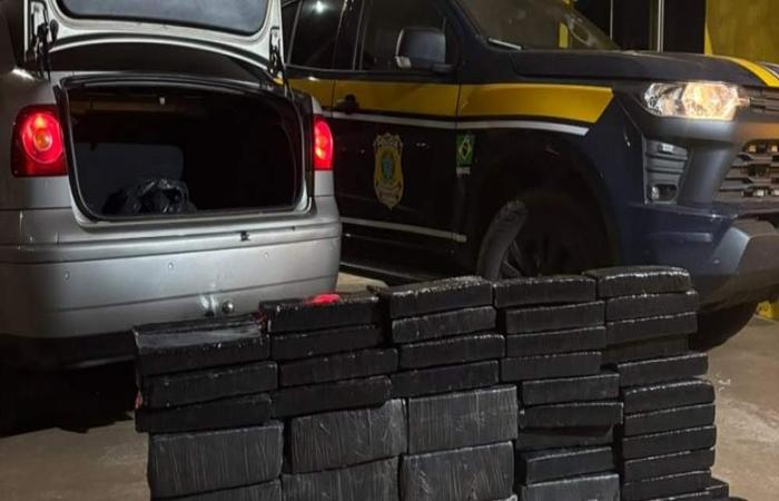 PRF recupera Hilux furtada e apreende maconha na BR-262