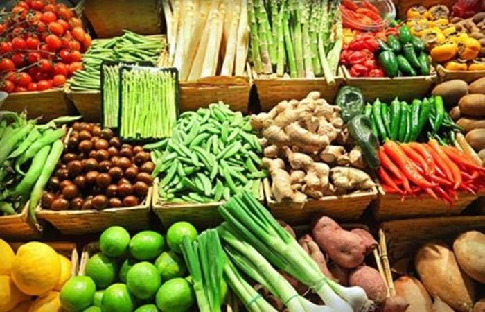 PROCON-TL divulga pesquisa de preços de gêneros alimentícios