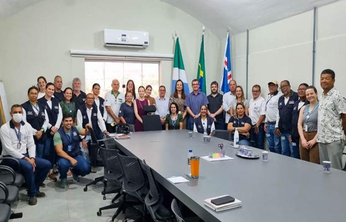Três Lagoas avança para implantação do Método Wolbachia no combate à dengue