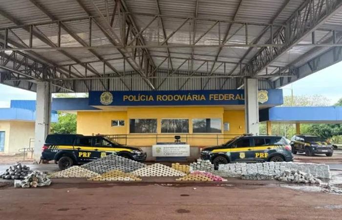 PRF apreende quase uma tonelada de drogas em MS