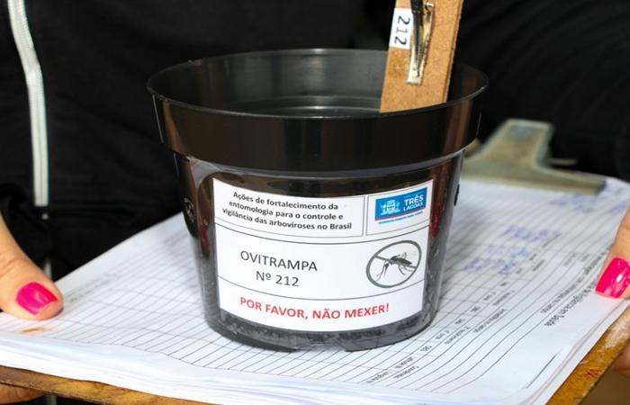 Mais de 12 mil ovos de Aedes aegypti são coletados em Ovitrampas no município