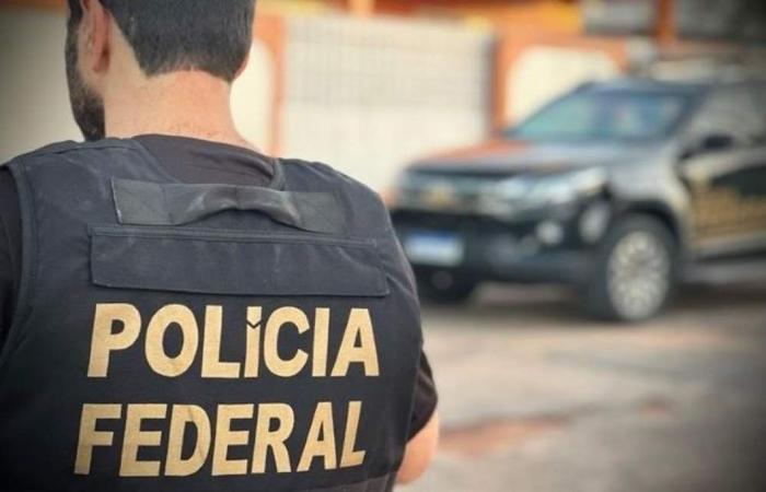 PF cumpre mandado em Três Lagoas contra venda ilegal de anabolizantes do Paraguai
