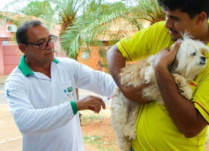VACINAÇÃO ANTIRRÁBICA: Campanha Nacional acontece em 24 de outubro