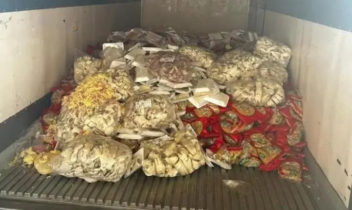 10 toneladas de queijos e carnes vencidos acendem alerta: veja como identificar produtos estragados