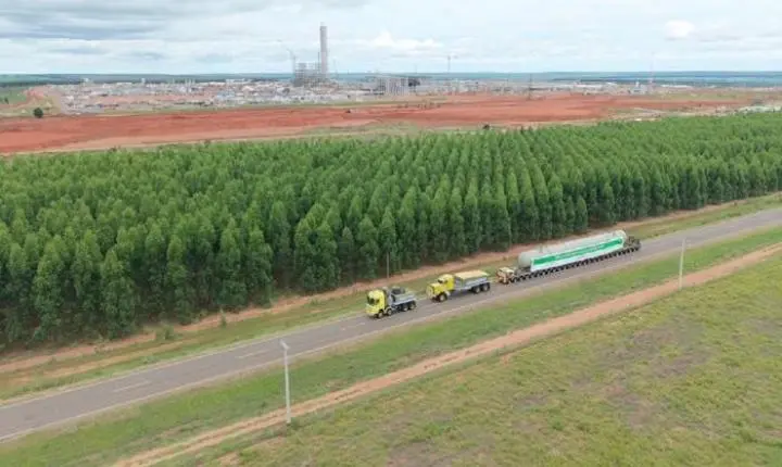 Arauco faz seletiva com 100 vagas para programa de formação de motoristas em Inocência