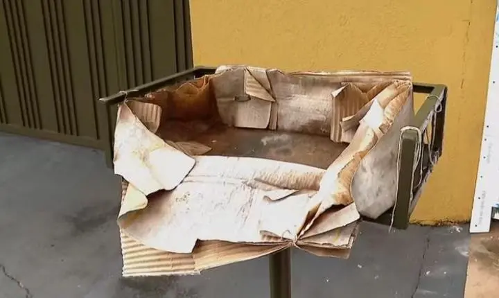 Bebê é encontrado morto dentro de lixeira por coletores de lixo em MS