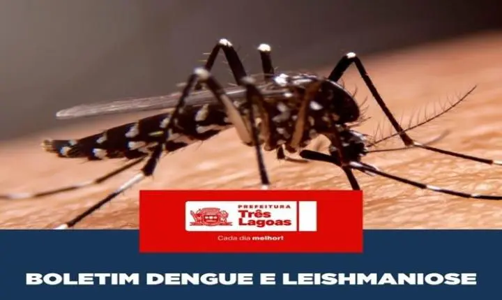 BOLETIM DENGUE E LEISHMANIOSE