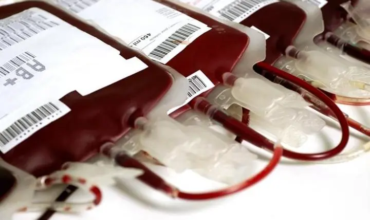 Confira os critérios para doar sangue no Hemosul de Três Lagoas