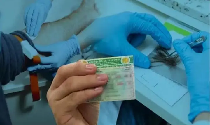 Exame toxicológico passa a ser obrigatório para tirar primeira CNH de carro e moto no Pará a partir de junho