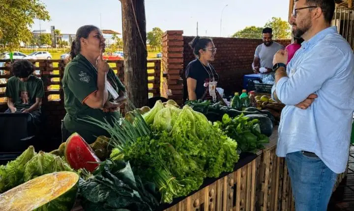 Exposições e palestras marcam ciclo de capacitação da 2ª Semana da Agricultura Familiar em Três Lagoas