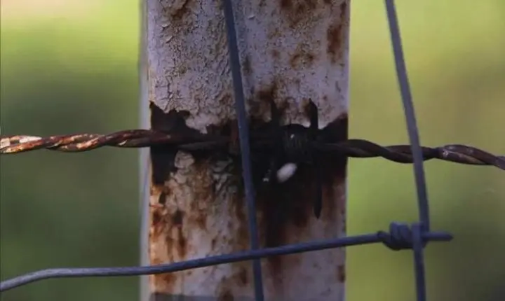 Homem ameaça matar o pai e danifica carro em Três Lagoas (MS)
