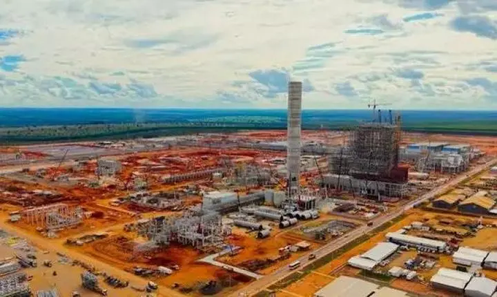 Maior fábrica de celulose do mundo já credenciou 