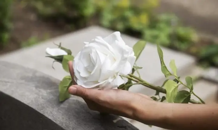 PESQUISA DE PREÇOS: Procon/TL analisa preços de velas e flores para o Dia de Finados