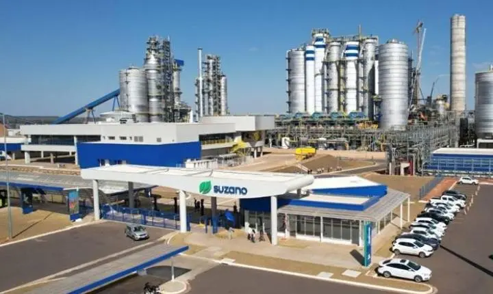 Suzano abre vagas de emprego para unidades de Três Lagoas e Ribas do Rio Pardo