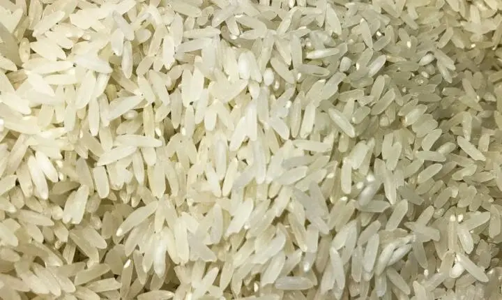 Terremoto: Brasil doará 10 toneladas de arroz à Colômbia
