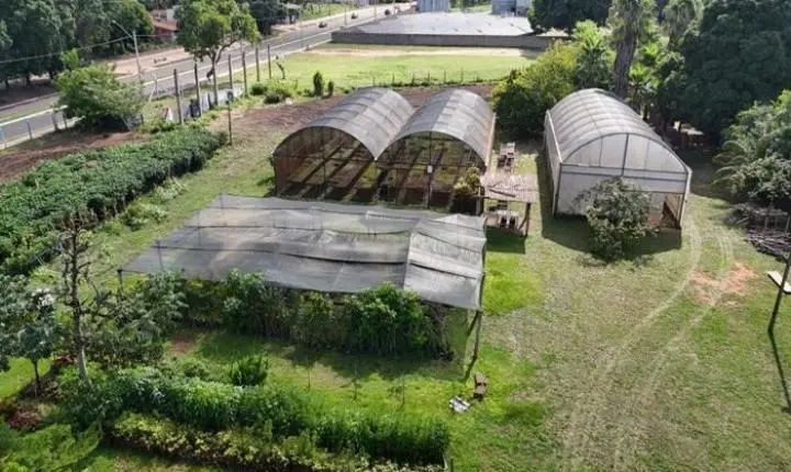 Viveiro Municipal de Três Lagoas continua atendendo em horário contínuo